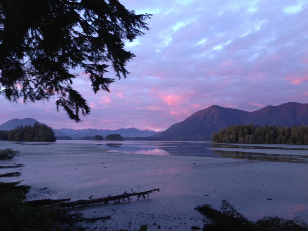 Black Bear Guesthouse Tofino Esterno foto