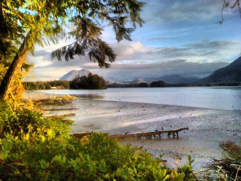 Black Bear Guesthouse Tofino Esterno foto